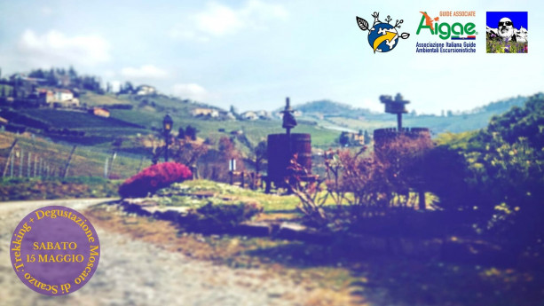 Escursione: InCammino nelle terre del Moscato di Scanzo Escursione: InCammino nelle terre del Moscato di Scanzo
