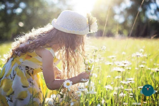 Fiori e alberi di Parco Sempione – SPECIALE BAMBINI Fiori e alberi di Parco Sempione – SPECIALE BAMBINI