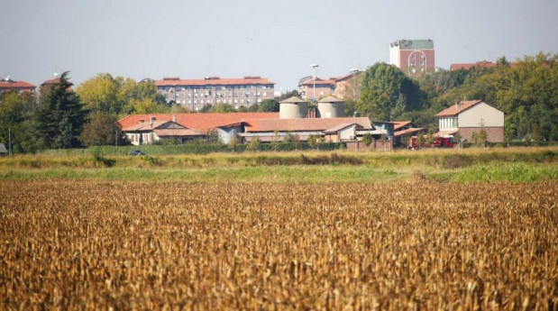 Tour alla Cascina Battivacco: un tuffo nella campagna milanese