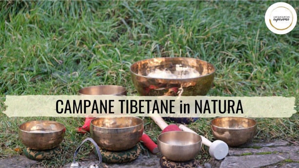 Campane tibetane in natura Campane tibetane in natura