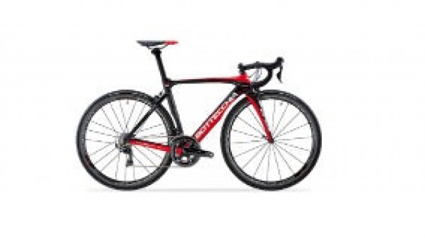 Road Racing Bottecchia Rental Road Racing Bottecchia Rental