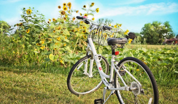 Bike Tour Franciacorta