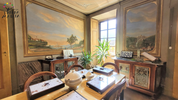 La Casa Museo degli Insetti