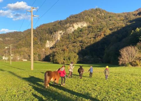 Pony e asinello in un prato con bambini