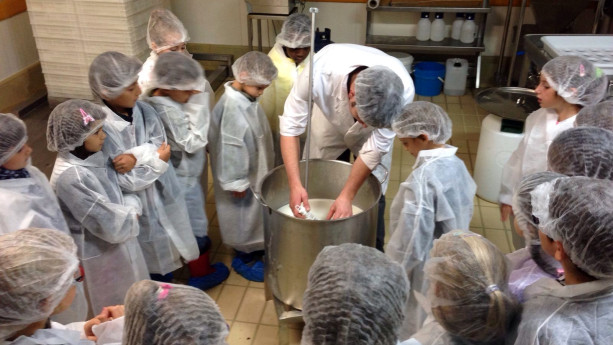 The secrets of Valsassina cheeses: dairy laboratory for children and teenagers