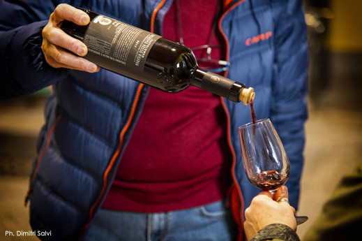 In cantina con noi - Visita & Degustazione