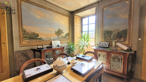 La Casa Museo degli Insetti 