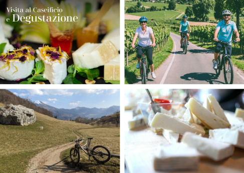 ESPERIENZA BIKE e WINE in VALSASSINA