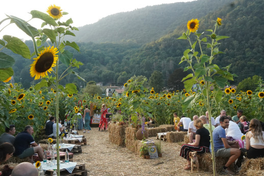 Agri aperitivo tra i girasoli Agri aperitivo tra i girasoli