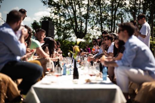 ragazzi che fanno picnic in vigna a cremona