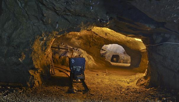 Visita guidata ad ONETA
