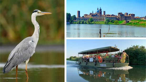 Mantova 