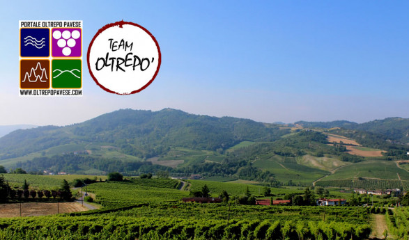 Portale Oltrepo Pavese Portale Oltrepo Pavese