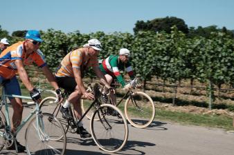 License: CC0 | Credits: CC0