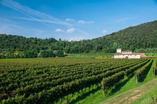 What to do In Franciacorta