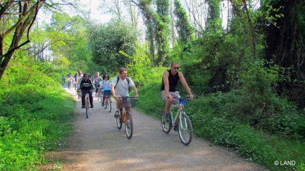 Itinerario: Ville Storiche e Groane