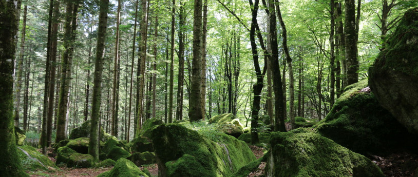 Val Masino, cuore selvaggio delle Retiche