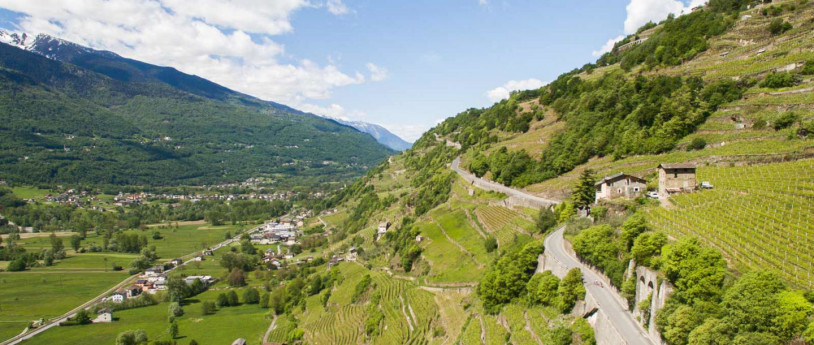 Valtellina, a story of grapes and rock - teglioturismo.com