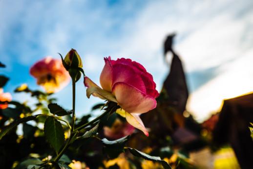 Giardini Pavia, Lombardia da visitare