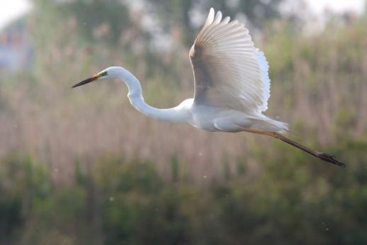 Natural Parks in Lombardy, suggestions on what to see