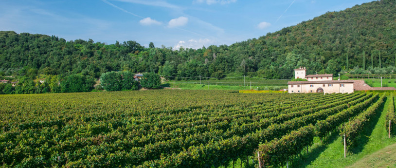 Vigneti Franciacorta