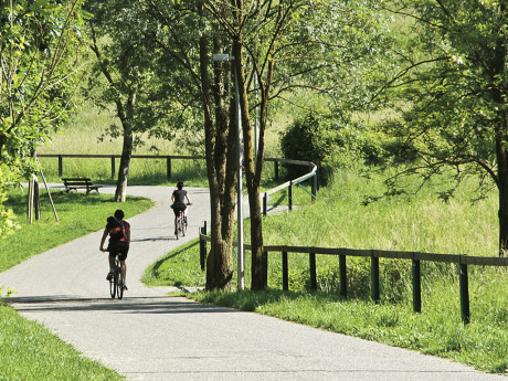 Parco dei Colli casa degli anfibi 