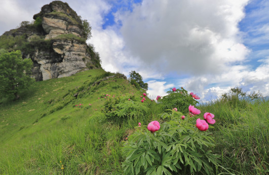 Al Rifugio Prabello, lungo la frontiera