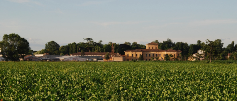 Villa Strozzi a Palidano di Gonzaga