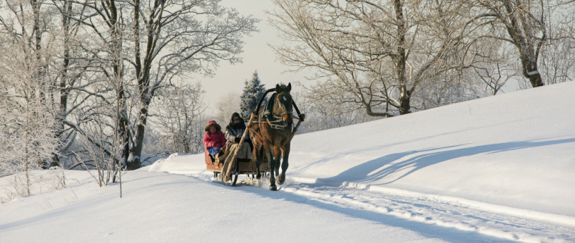 (Ph: in-lombardia I Mille)