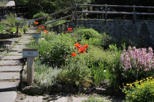 Jardín botánico Alpino “Rezia” – Bormio