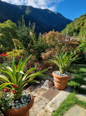 B&B LA CURT DEL BOFF