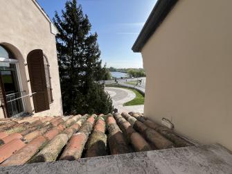 Vista