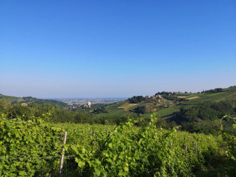 Paesaggio oltrepadano Paesaggio oltrepadano