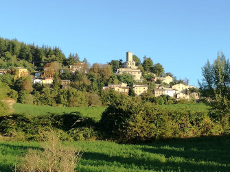 Petragavina Petragavina