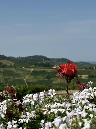 Fiera di Primavera a Pietra de Giorgi