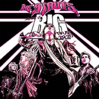 the struts biglietti the struts biglietti