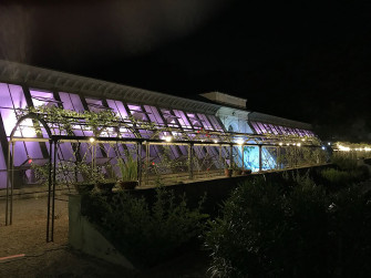 Visite straordinarie all’Orto Botanico Visite straordinarie all’Orto Botanico