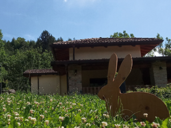 Scovali tutti alla ricerca degli animali selvatici della Val Gandino Scovali tutti alla ricerca degli animali selvatici della Val Gandino