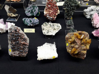 Mineralpavia Mineralpavia