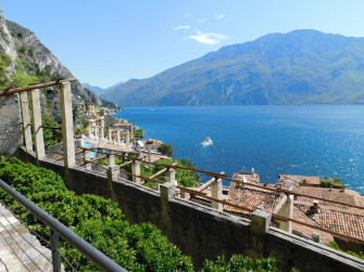 Visite alla Limonaia del Castel 2024