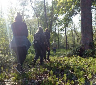 Passeggiare nella natura Passeggiare nella natura