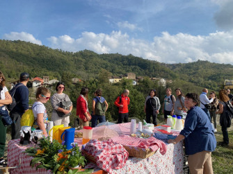 Sulle vie dello zafferano