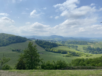 Assaggi tra vigne e castelli