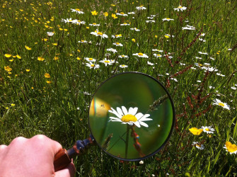 Esploratori in natura Esploratori in natura