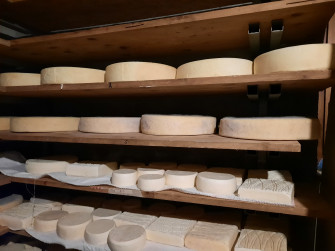 Degustazione serale in alpeggio Degustazione serale in alpeggio