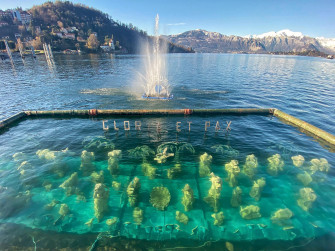 Presepe Sommerso a Laveno 