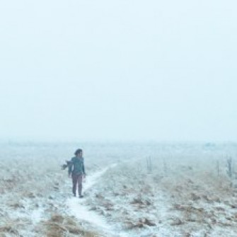 damien rice biglietti