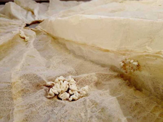 Mostra Respiro Dentro