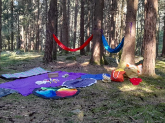 A spasso nel bosco tra colori e rifugi