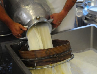 Alla scoperta del formaggio di montagna